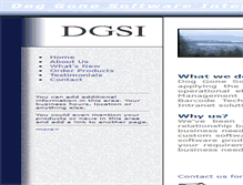 Tablet Screenshot of dgsi.com
